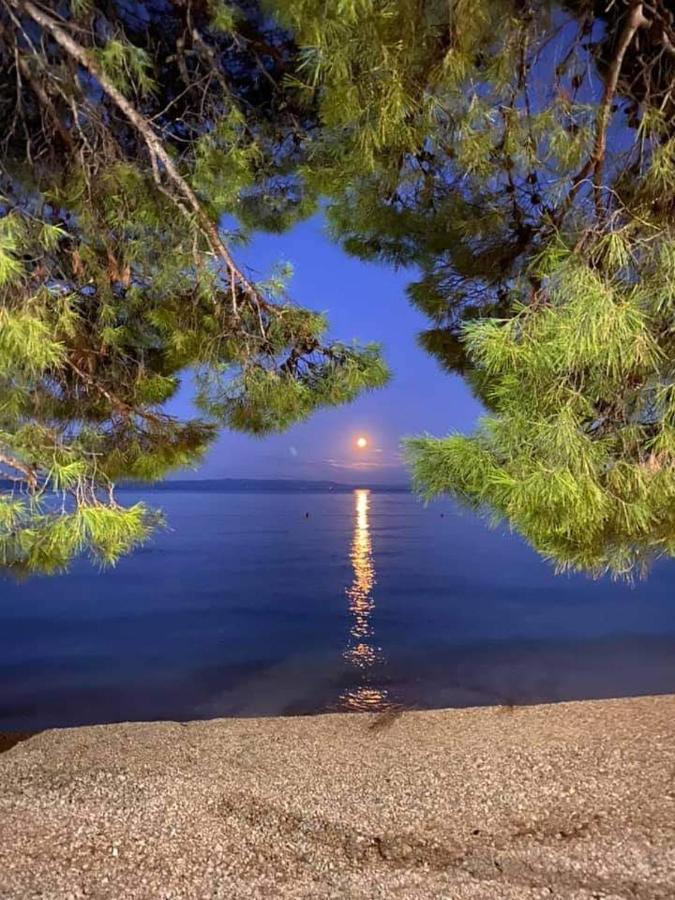 Apartman Magdalena Galileo Plaza Makarska Buitenkant foto